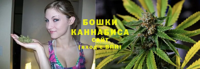 Бошки марихуана SATIVA & INDICA  Соликамск 